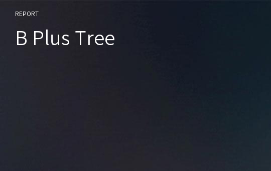 B Plus Tree