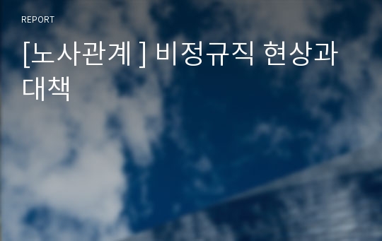 [노사관계 ] 비정규직 현상과 대책