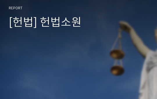 [헌법] 헌법소원