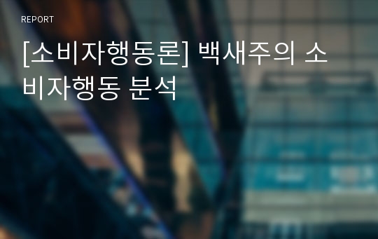 [소비자행동론] 백새주의 소비자행동 분석