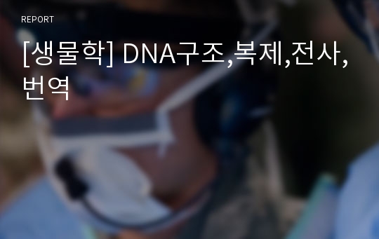 [생물학] DNA구조,복제,전사,번역