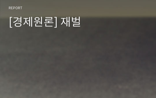 [경제원론] 재벌