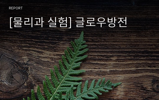 [물리과 실험] 글로우방전