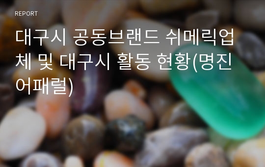 대구시 공동브랜드 쉬메릭업체 및 대구시 활동 현황(명진어패럴)