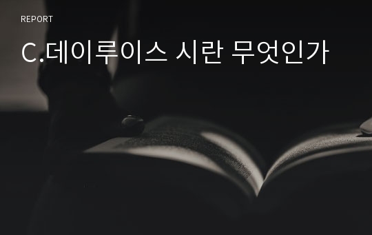 C.데이루이스 시란 무엇인가