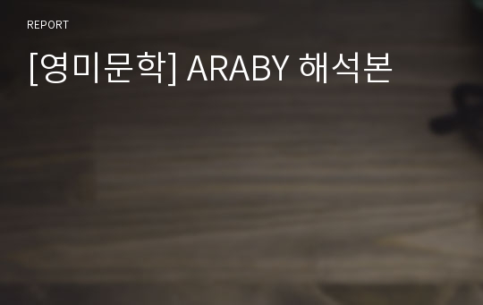 [영미문학] ARABY 해석본