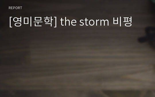 [영미문학] the storm 비평