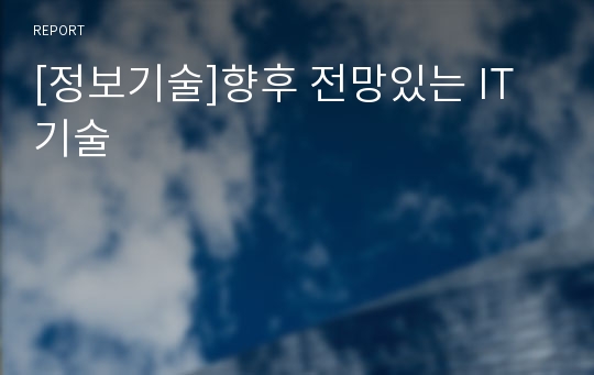 [정보기술]향후 전망있는 IT 기술