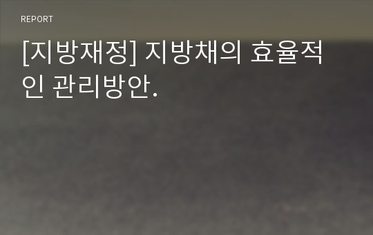 [지방재정] 지방채의 효율적인 관리방안.