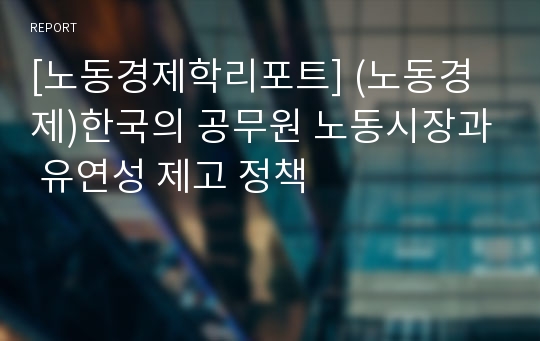 [노동경제학리포트] (노동경제)한국의 공무원 노동시장과 유연성 제고 정책