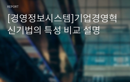 [경영정보시스템]기업경영혁신기법의 특성 비교 설명