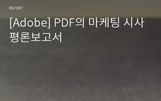 [Adobe] PDF의 마케팅 시사평론보고서