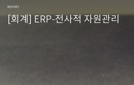 [회계] ERP-전사적 자원관리