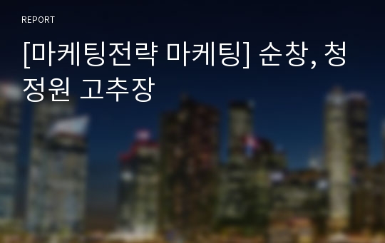 [마케팅전략 마케팅] 순창, 청정원 고추장