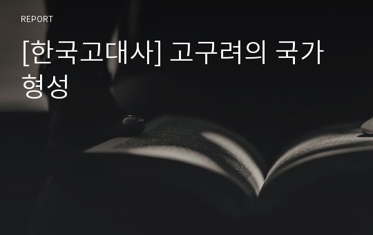 [한국고대사] 고구려의 국가형성