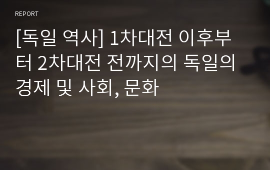 [독일 역사] 1차대전 이후부터 2차대전 전까지의 독일의 경제 및 사회, 문화