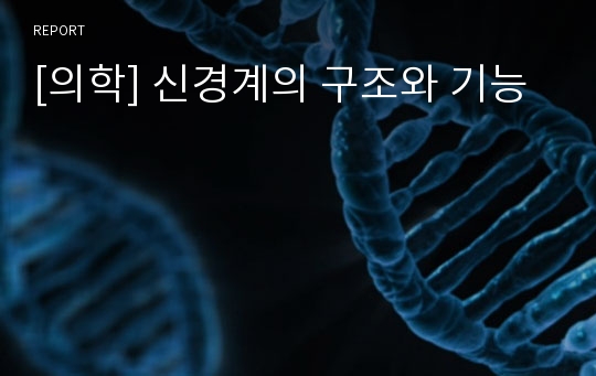 [의학] 신경계의 구조와 기능