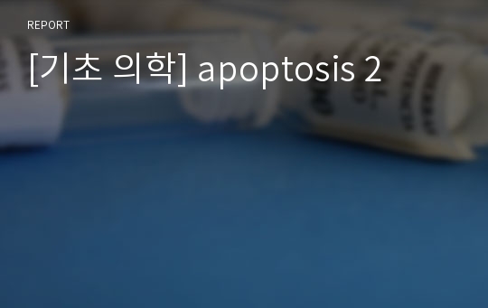 [기초 의학] apoptosis 2