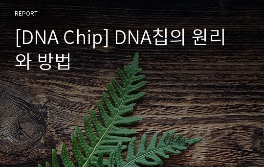 [DNA Chip] DNA칩의 원리와 방법