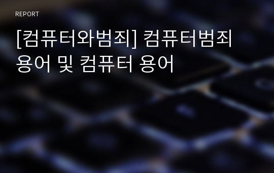 [컴퓨터와범죄] 컴퓨터범죄 용어 및 컴퓨터 용어