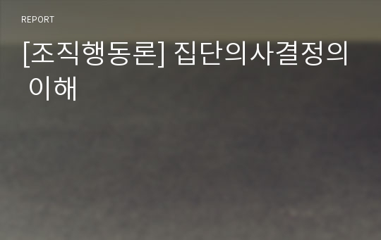 [조직행동론] 집단의사결정의 이해