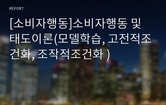 [소비자행동]소비자행동 및 태도이론(모델학습, 고전적조건화, 조작적조건화 )