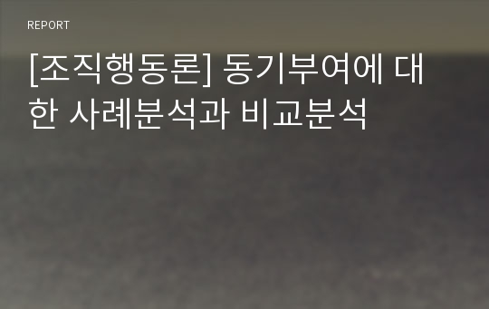 [조직행동론] 동기부여에 대한 사례분석과 비교분석