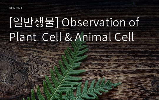 [일반생물] Observation of Plant  Cell &amp; Animal Cell