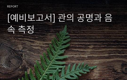 [예비보고서] 관의 공명과 음속 측정