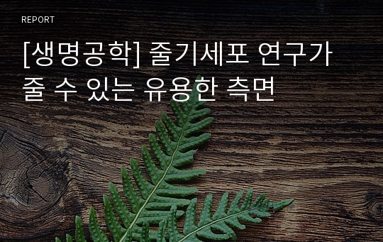 [생명공학] 줄기세포 연구가 줄 수 있는 유용한 측면