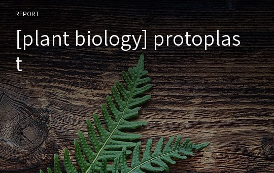 [plant biology] protoplast