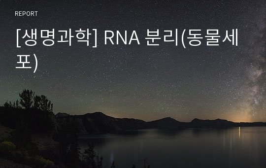 [생명과학] RNA 분리(동물세포)