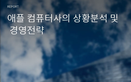 애플 컴퓨터사의 상황분석 및 경영전략