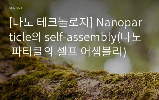 [나노 테크놀로지] Nanoparticle의 self-assembly(나노 파티클의 셀프 어셈블리)
