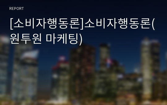 [소비자행동론]소비자행동론(원투원 마케팅)