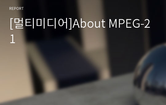 [멀티미디어]About MPEG-21