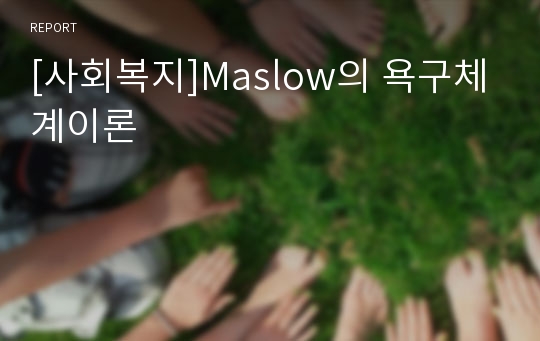 [사회복지]Maslow의 욕구체계이론