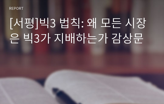 [서평]빅3 법칙: 왜 모든 시장은 빅3가 지배하는가 감상문