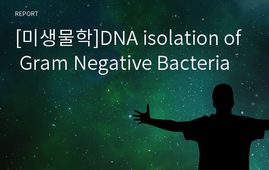 [미생물학]DNA isolation of Gram Negative Bacteria