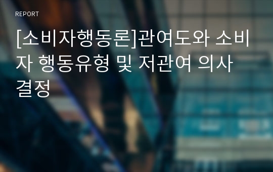 [소비자행동론]관여도와 소비자 행동유형 및 저관여 의사결정