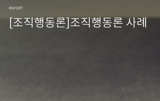 [조직행동론]조직행동론 사례