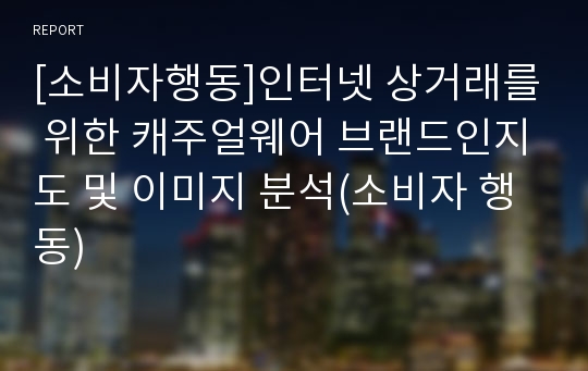 [소비자행동]인터넷 상거래를 위한 캐주얼웨어 브랜드인지도 및 이미지 분석(소비자 행동)