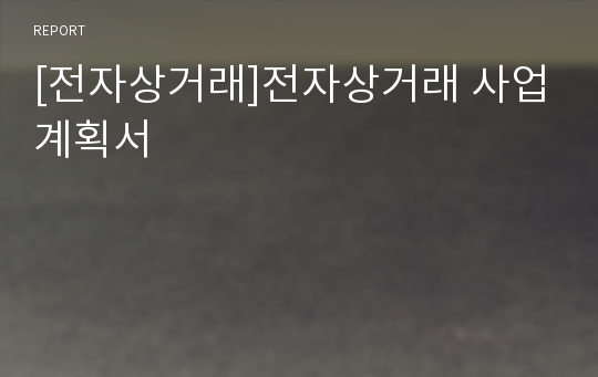 [전자상거래]전자상거래 사업계획서