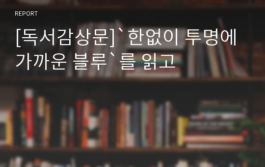 [독서감상문]`한없이 투명에 가까운 블루`를 읽고