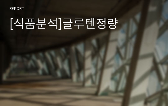 [식품분석]글루텐정량