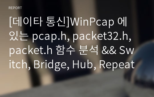 [데이타 통신]WinPcap 에 있는 pcap.h, packet32.h, packet.h 함수 분석 &amp;&amp; Switch, Bridge, Hub, Repeater 에 대한 조사