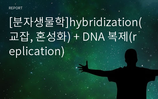 [분자생물학]hybridization(교잡, 혼성화) + DNA 복제(replication)