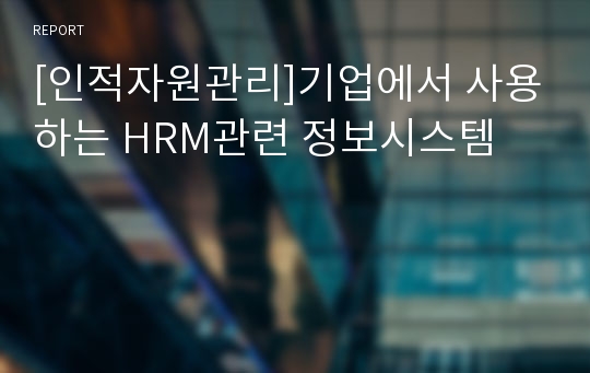 [인적자원관리]기업에서 사용하는 HRM관련 정보시스템