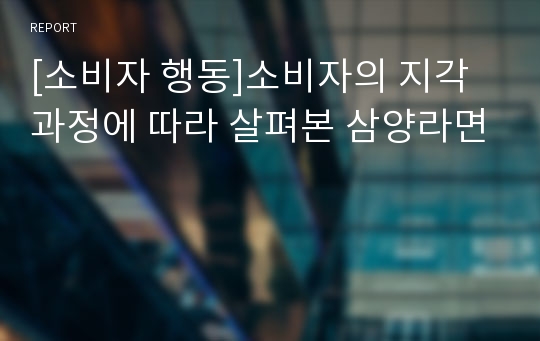 [소비자 행동]소비자의 지각 과정에 따라 살펴본 삼양라면