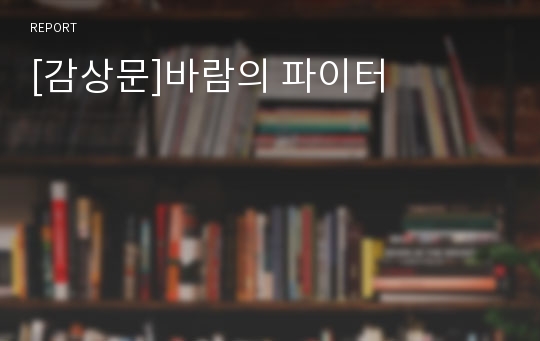 [감상문]바람의 파이터